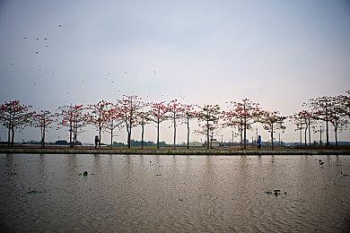 重生娱乐确认《Apex英雄》希尔太强 很快被削弱